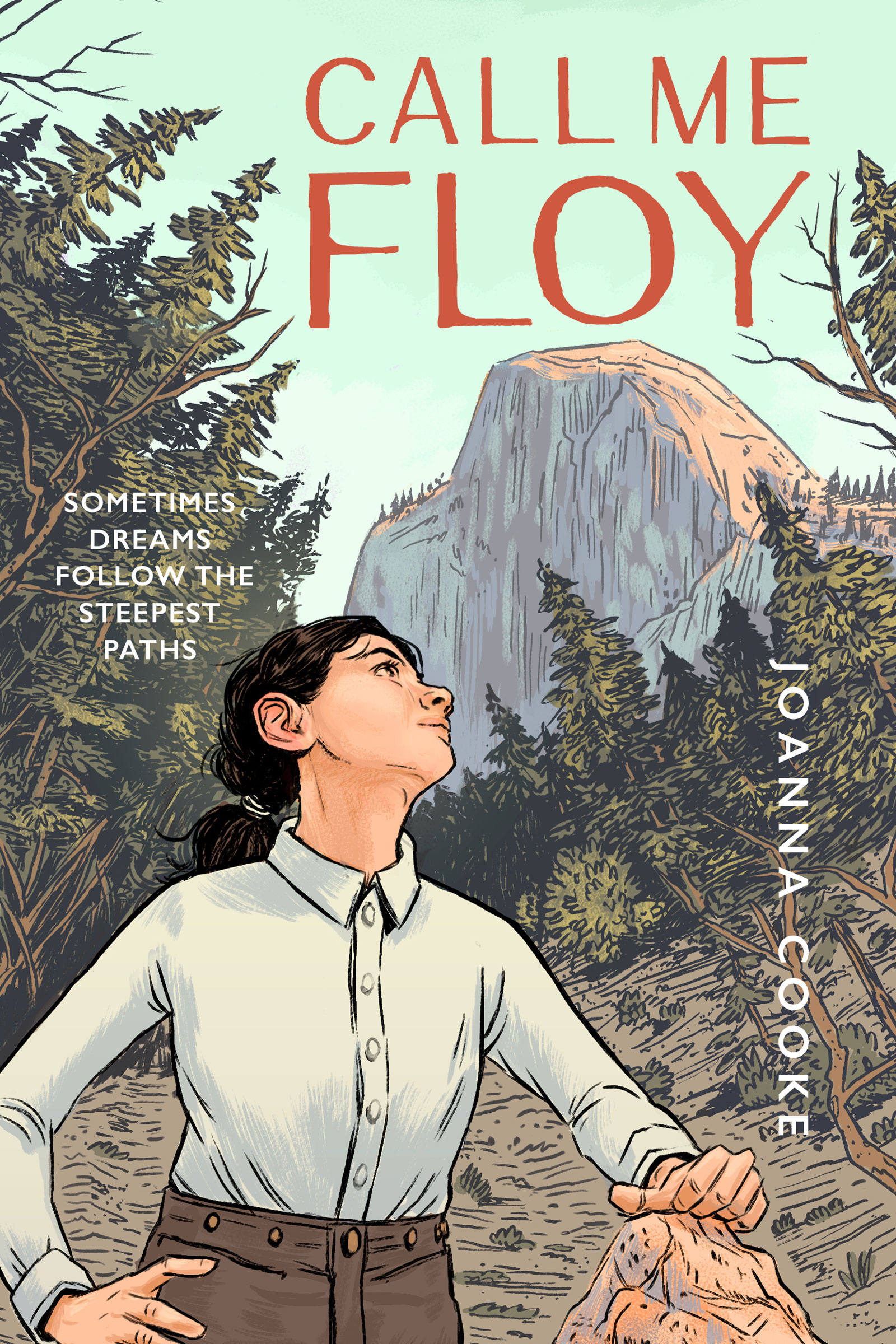 book cover for Call Me Floy by Joanna Cook
